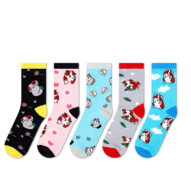 VINSANI GUINEA PIG SOCKS 5pk 1010415