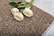 V067932846_15.jpg