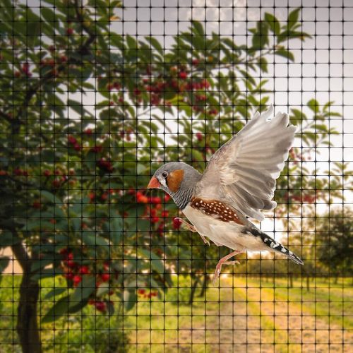 6 X GARDEN NETTING 2M X 10M