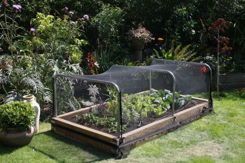 6 X GARDEN NETTING 2M X 10M